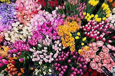 《星刃》新实机截图公布 油腻师姐来战个痛快